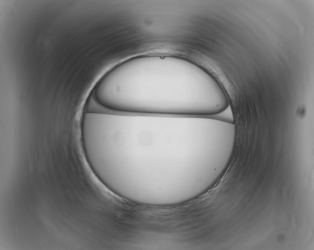 X0000097671483200803211931
