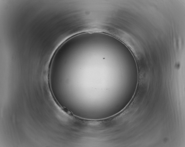 X0000097671484200803211931