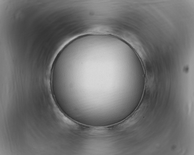 X0000097671486200803211931
