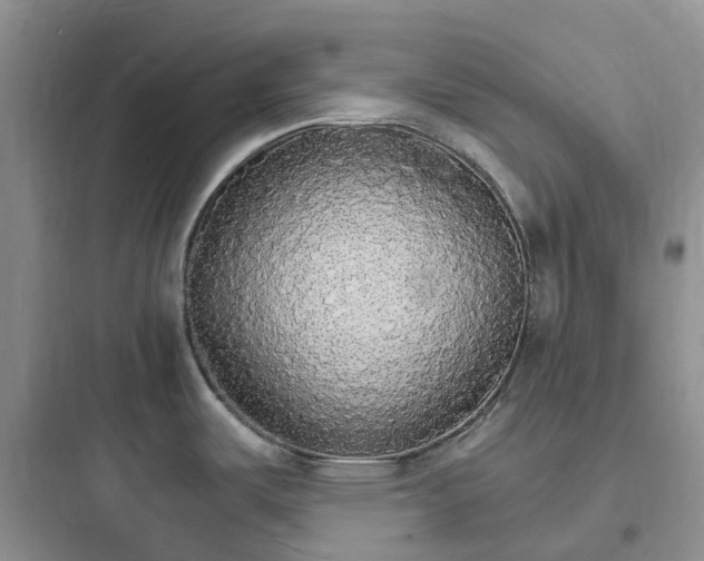 X0000097671487200803211931