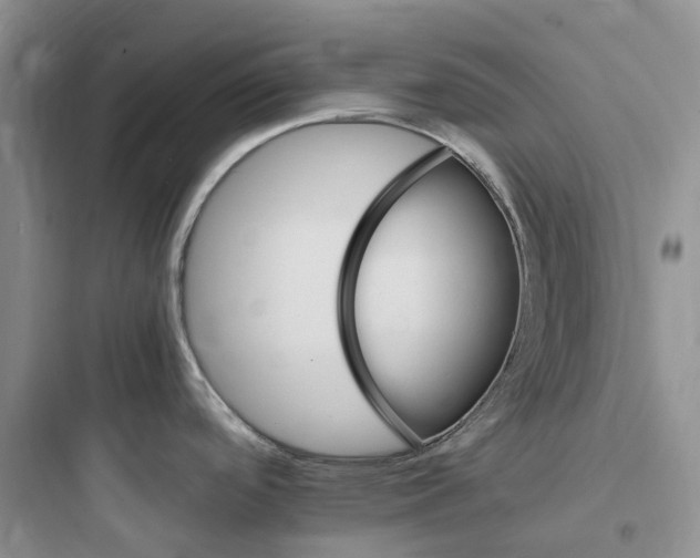 X0000097671488200803211931