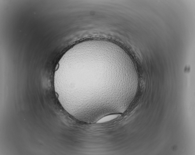 X0000097671490200803211930