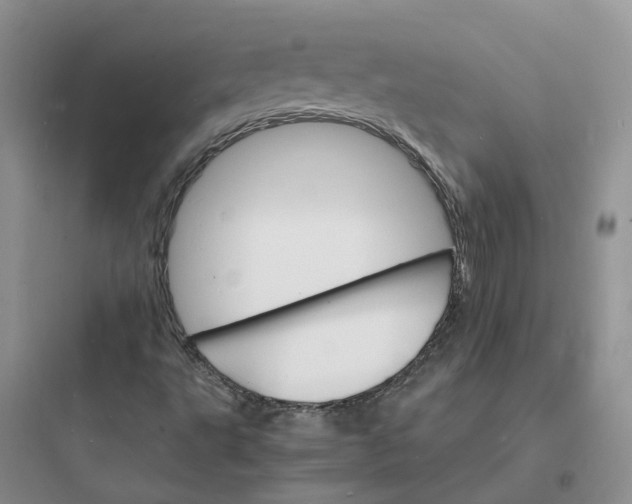 X0000097671495200803211930