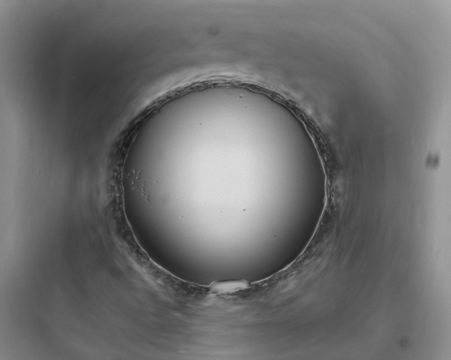 X0000097671496200803211930