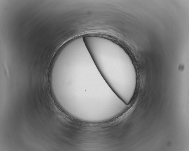 X0000097671497200803211930