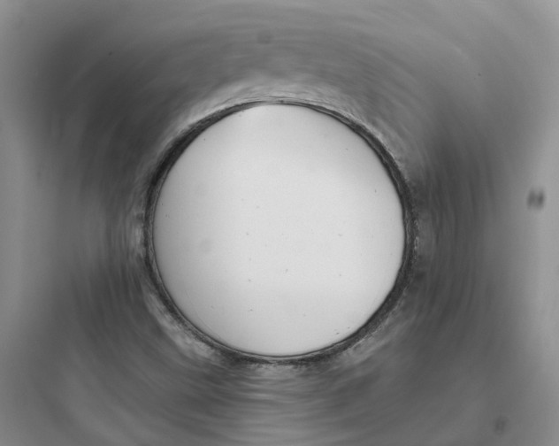 X0000097671499200803211930