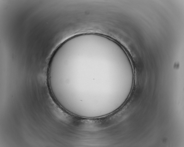 X0000097671500200803211930