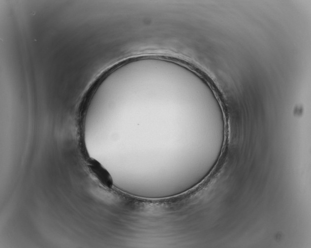 X0000097671501200803211930