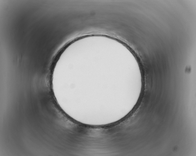 X0000097671502200803211930