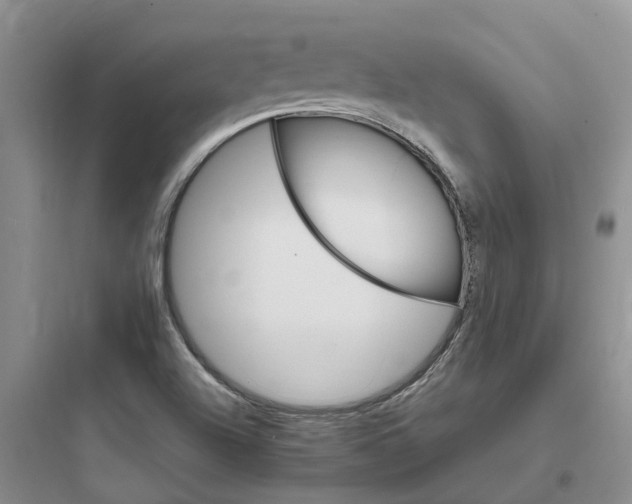 X0000097671504200803211930