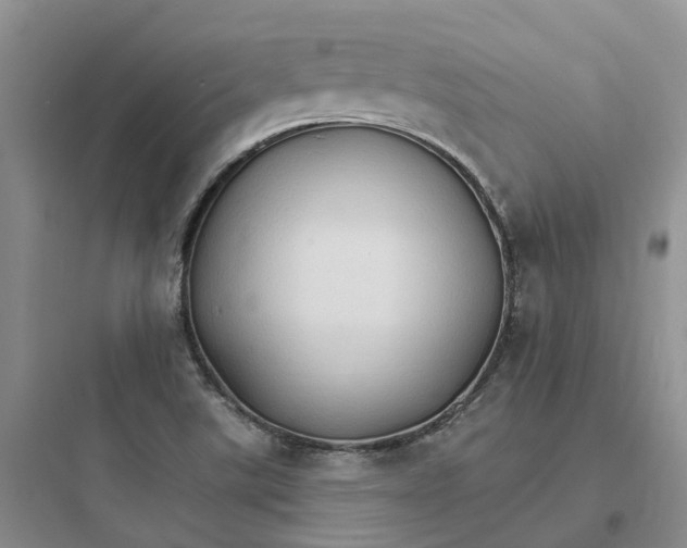 X0000097671507200803211930