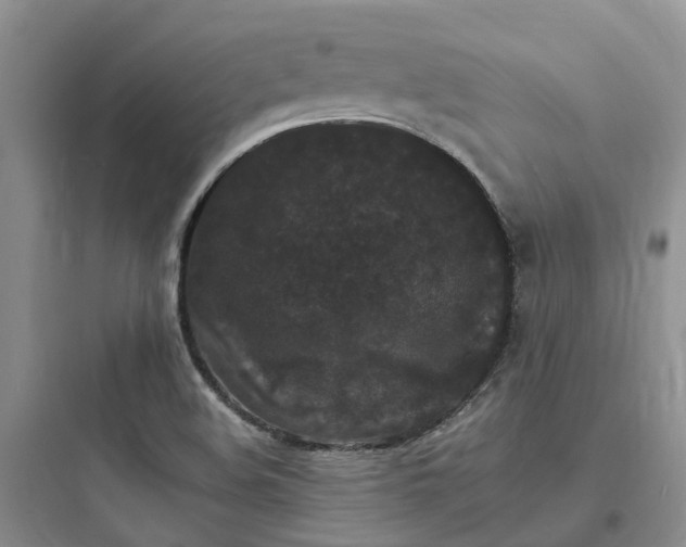 X0000097671508200803211930
