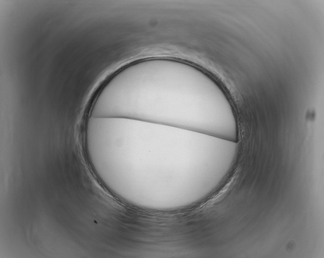X0000097671509200803211930