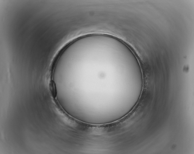 X0000097671511200803211930