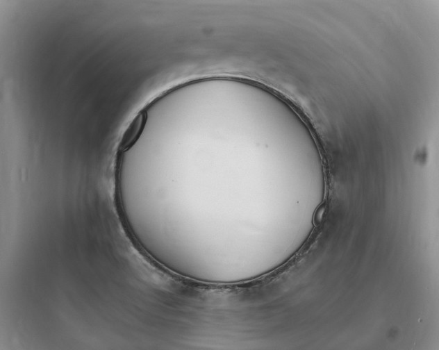 X0000097671512200803211930
