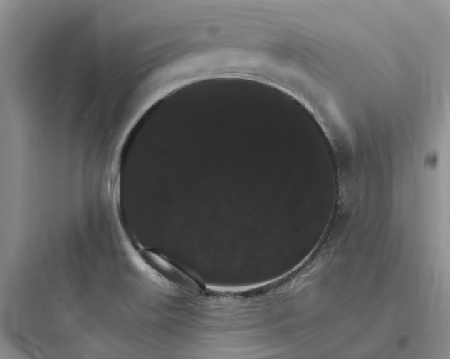 X0000097671515200803211930