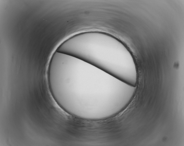 X0000097671516200803211930