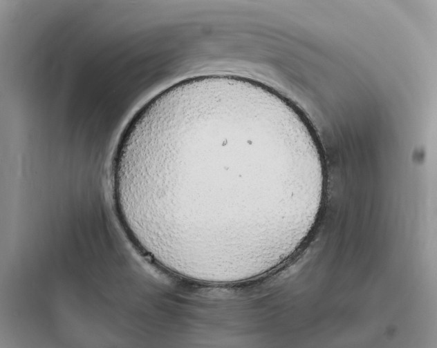 X0000097671517200803211930
