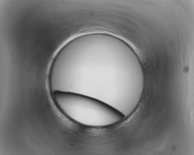 X0000097671518200803211930
