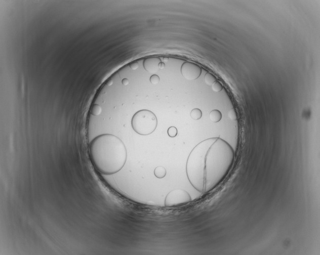 X0000097671521200803211930
