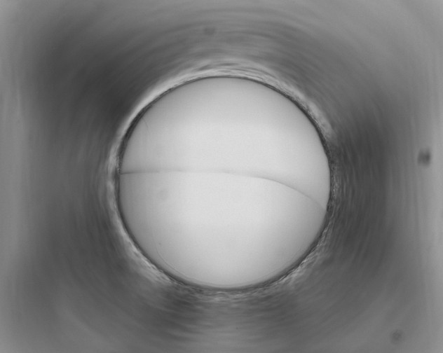 X0000097671522200803211930