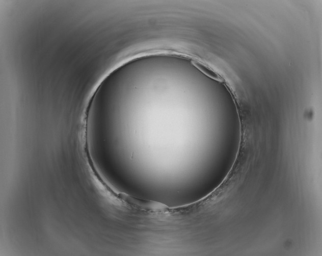 X0000097671524200803211930