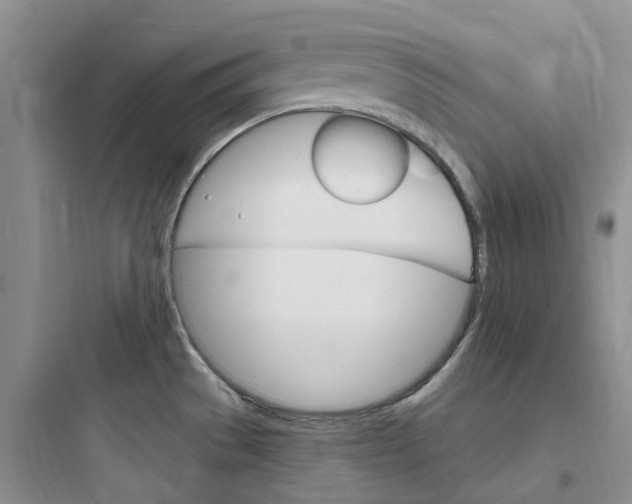 X0000097671529200803211930