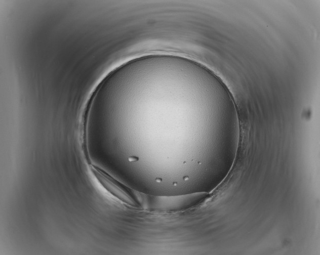 X0000097671531200803211930
