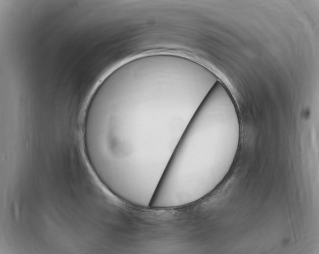 X0000097671533200803211930
