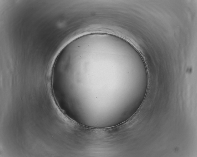 X0000097671536200803211931
