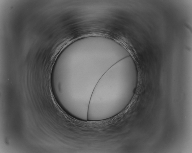 X0000097670001200803281023