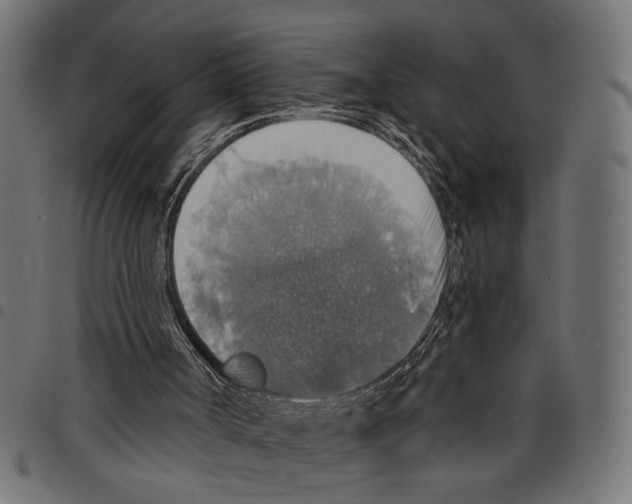 X0000097670002200803281023