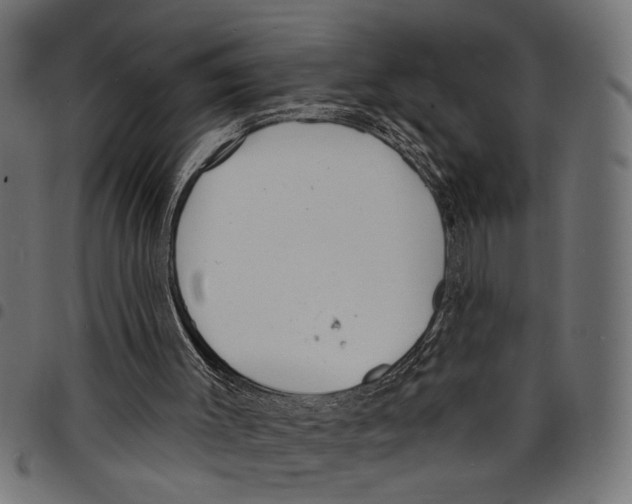 X0000097670003200803281023