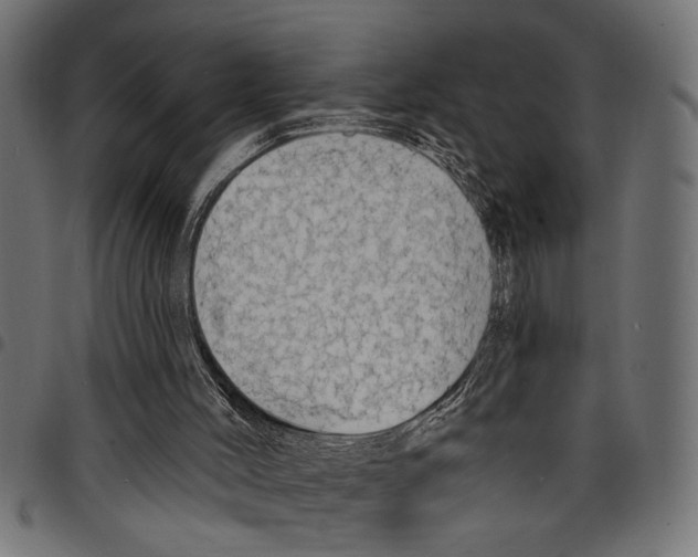 X0000097670004200803281023