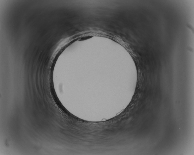 X0000097670007200803281023