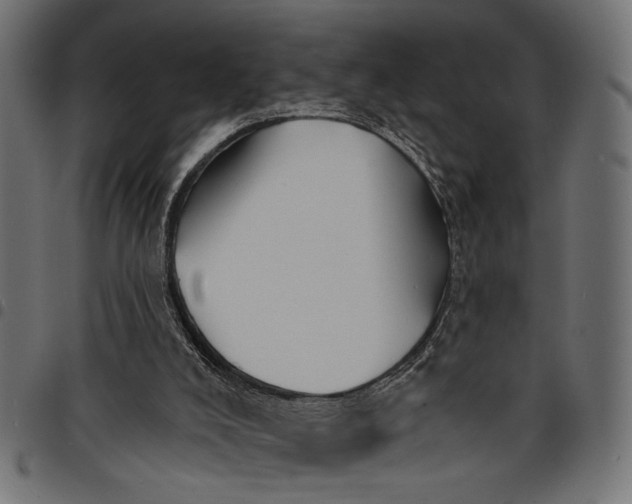 X0000097670008200803281023