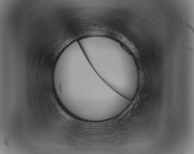 X0000097670009200803281023