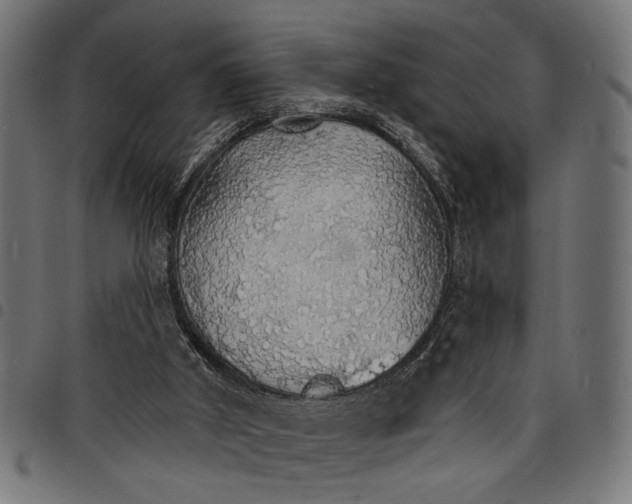 X0000097670010200803281023