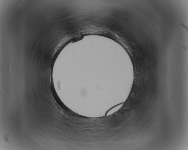 X0000097670011200803281023