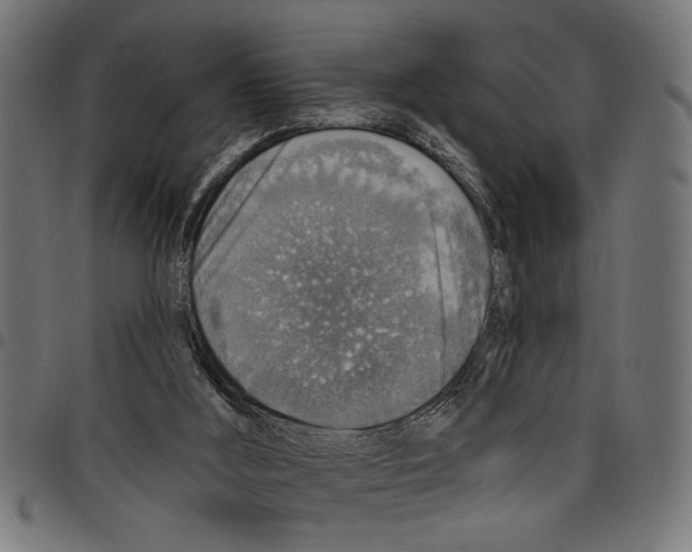 X0000097670012200803281023