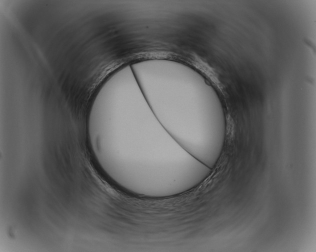 X0000097670013200803281023