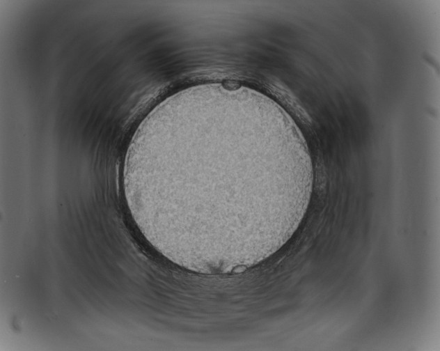 X0000097670014200803281023