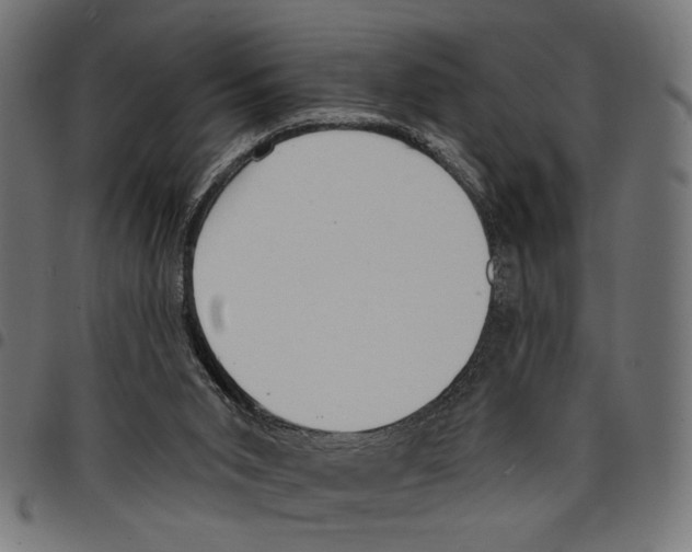 X0000097670015200803281023