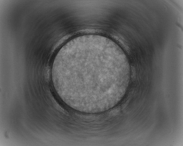 X0000097670016200803281023