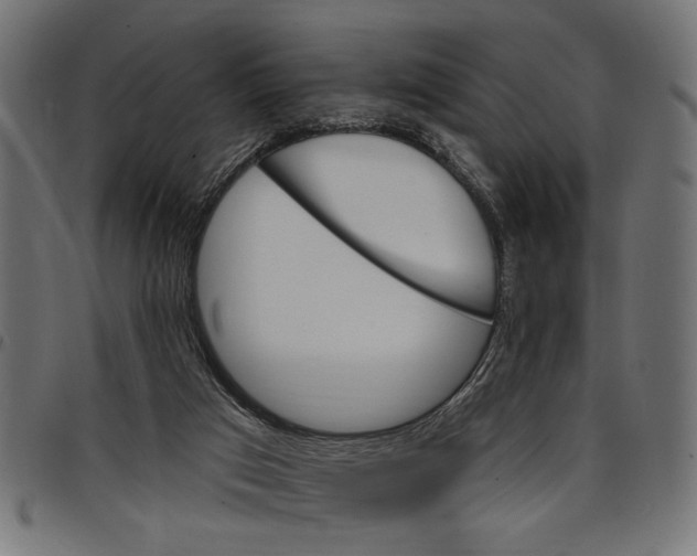 X0000097670017200803281023