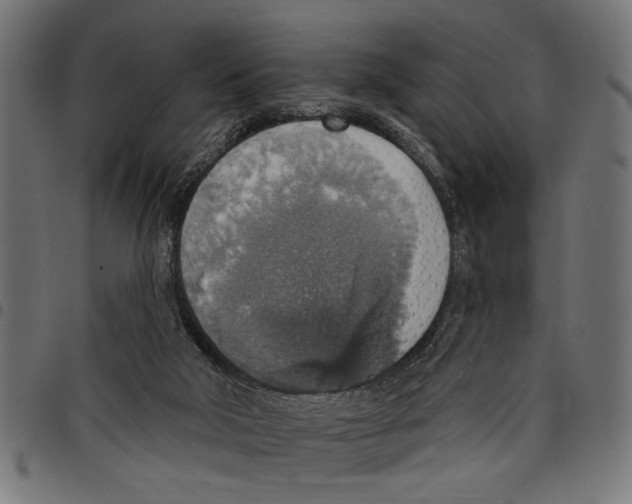 X0000097670018200803281023