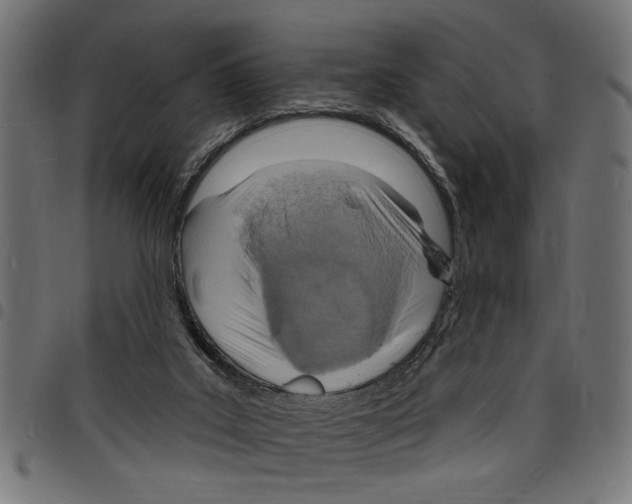 X0000097670019200803281023