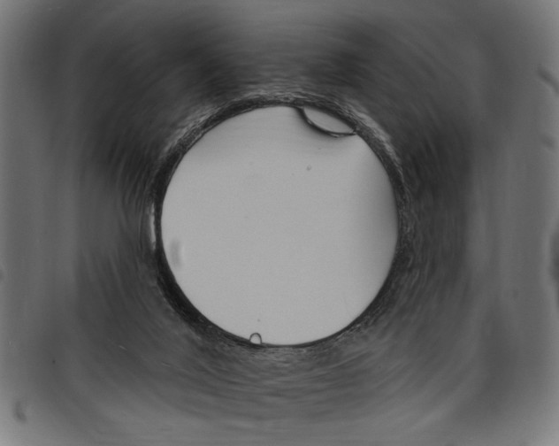 X0000097670020200803281023