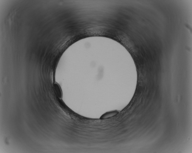X0000097670021200803281023