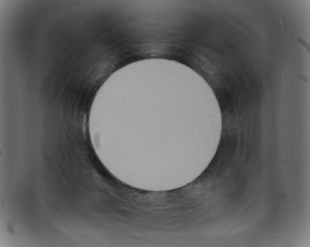 X0000097670024200803281023